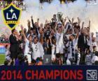 Los Angeles Galaxy, 2014 MLS şampiyonu
